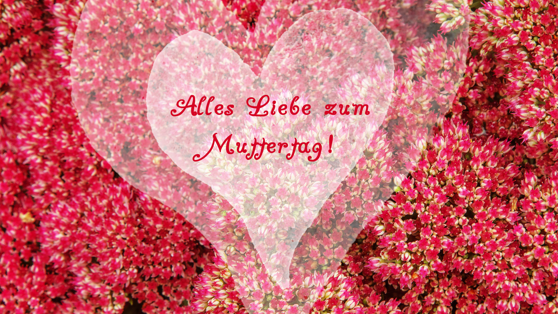 Alles Liebe zum Muttertag #106