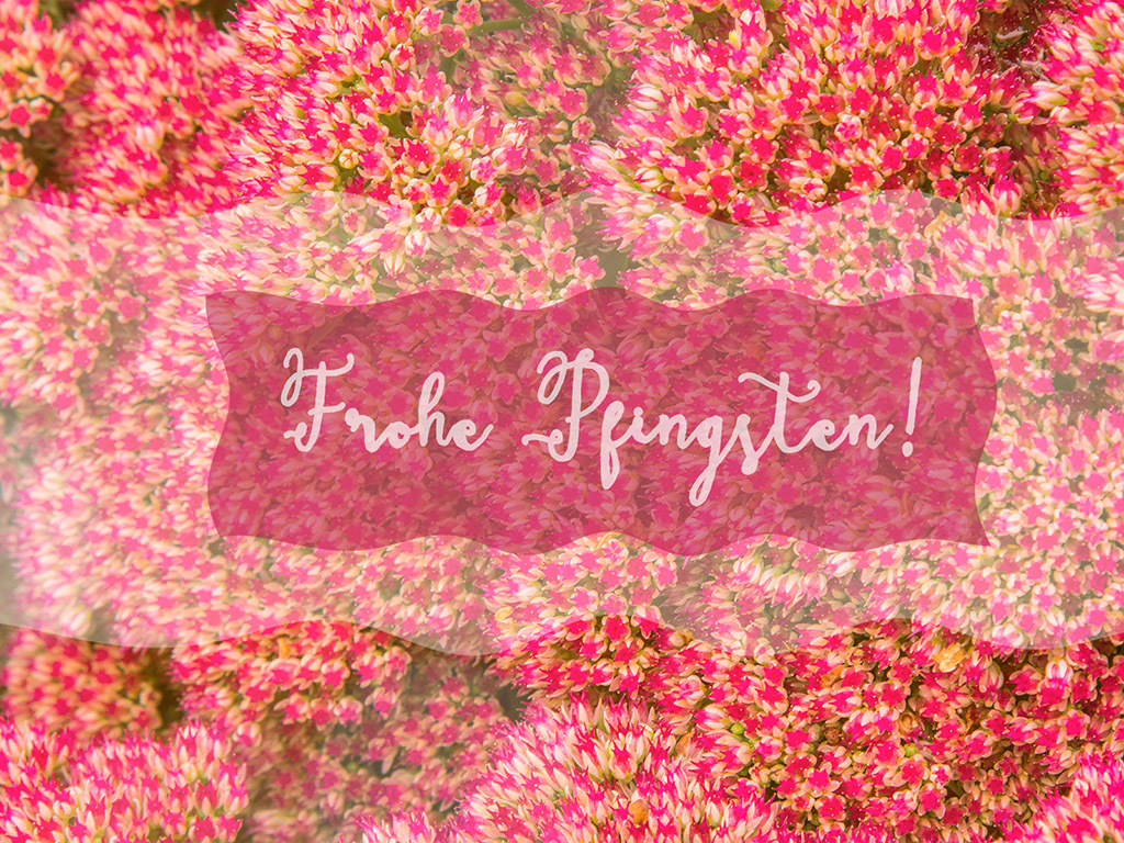 Frohe Pfingsten! 103