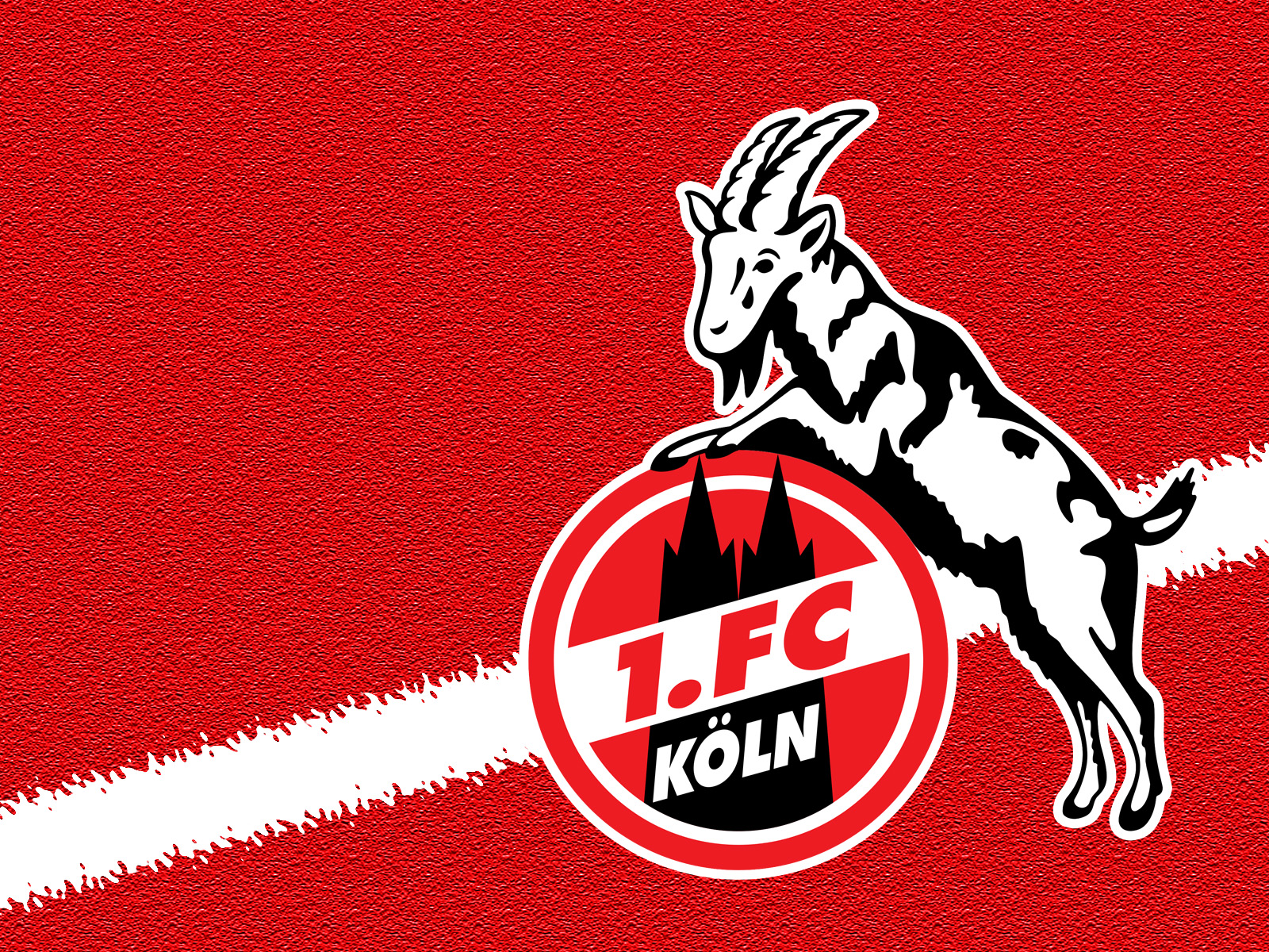 1. FC Köln #003 - Hintergrundbild