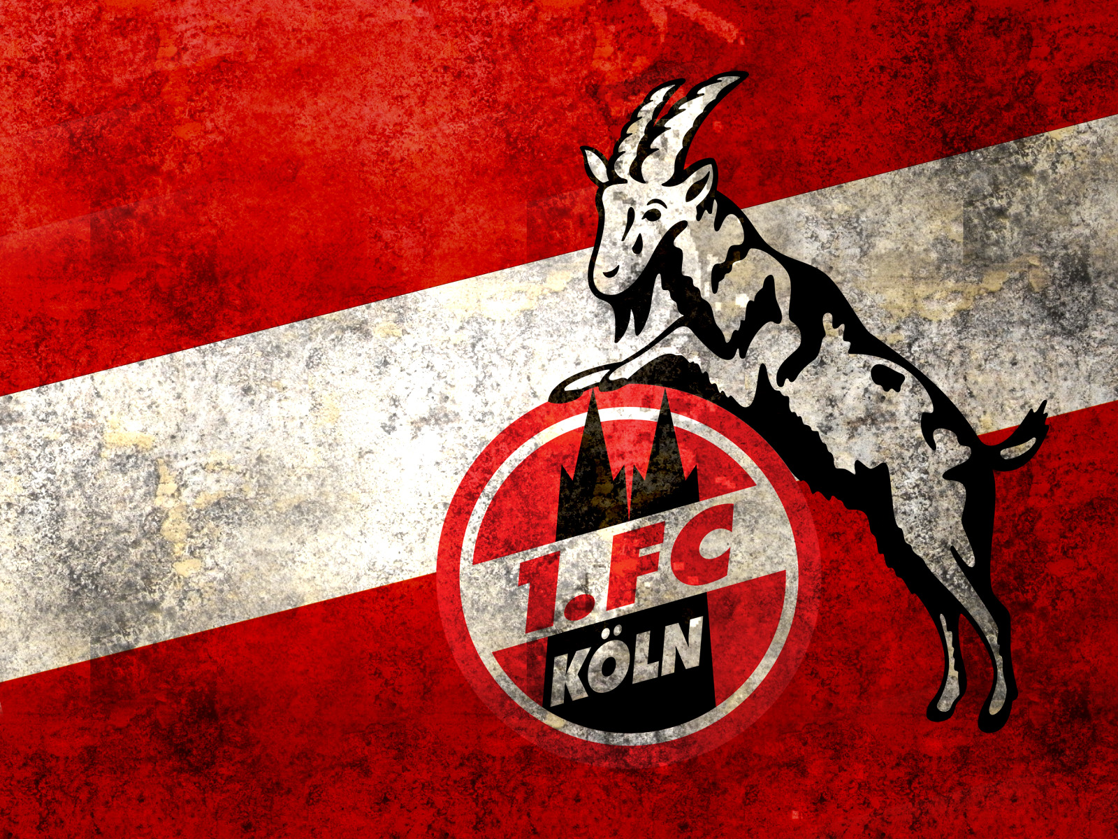 1. FC Köln 004 - Hintergrundbild