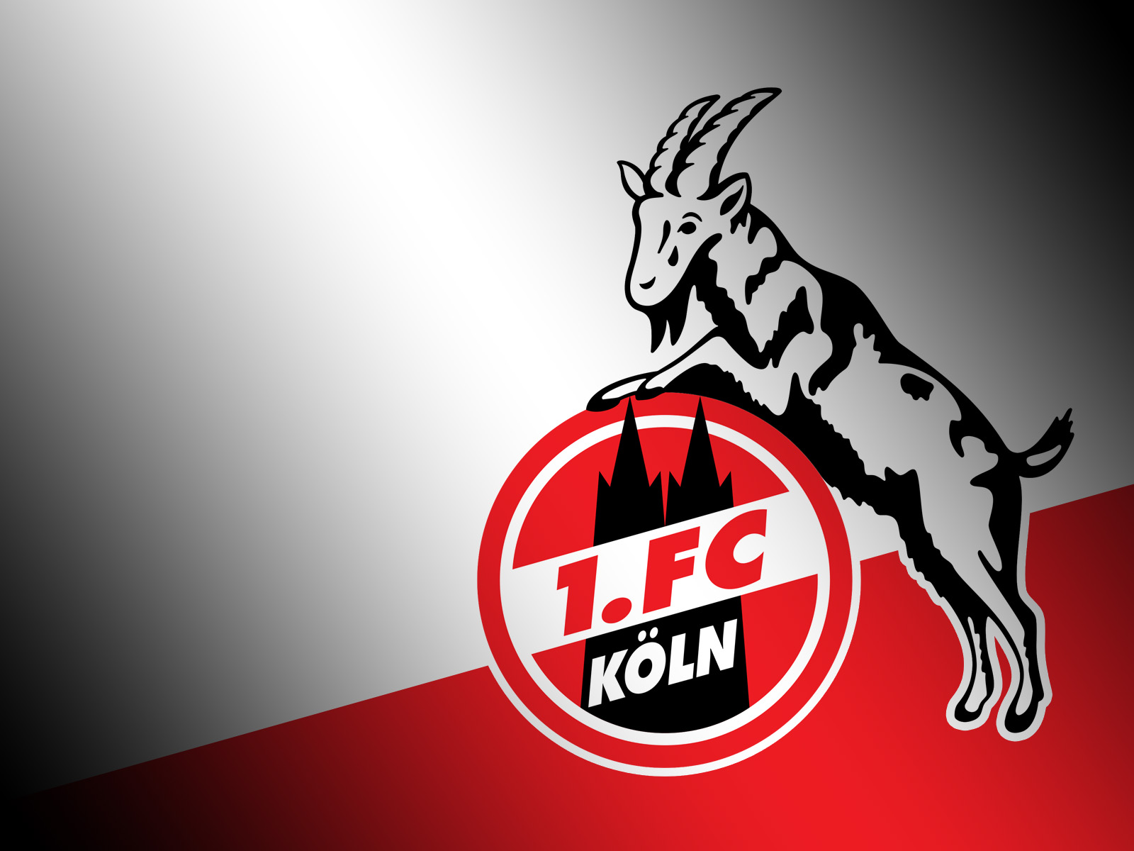 1. FC Köln #005 - Hintergrundbild