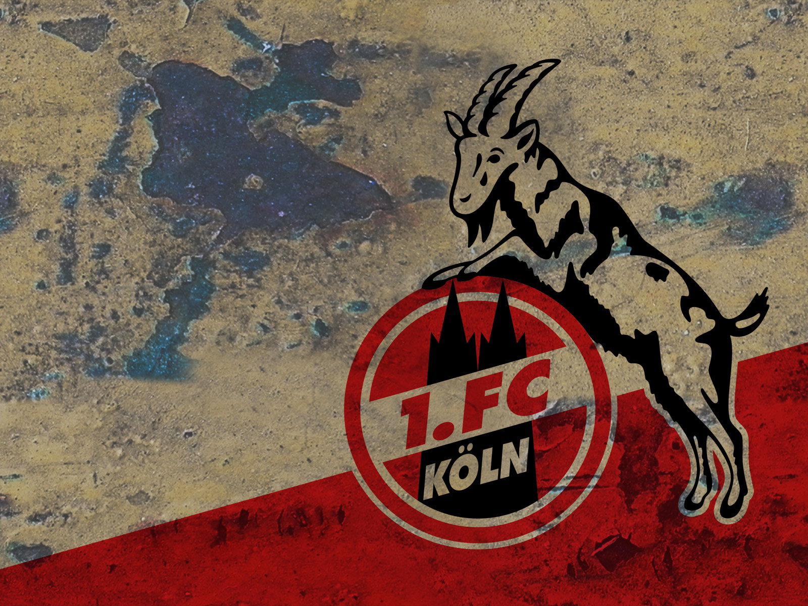 1. FC Köln #007 - Hintergrundbild