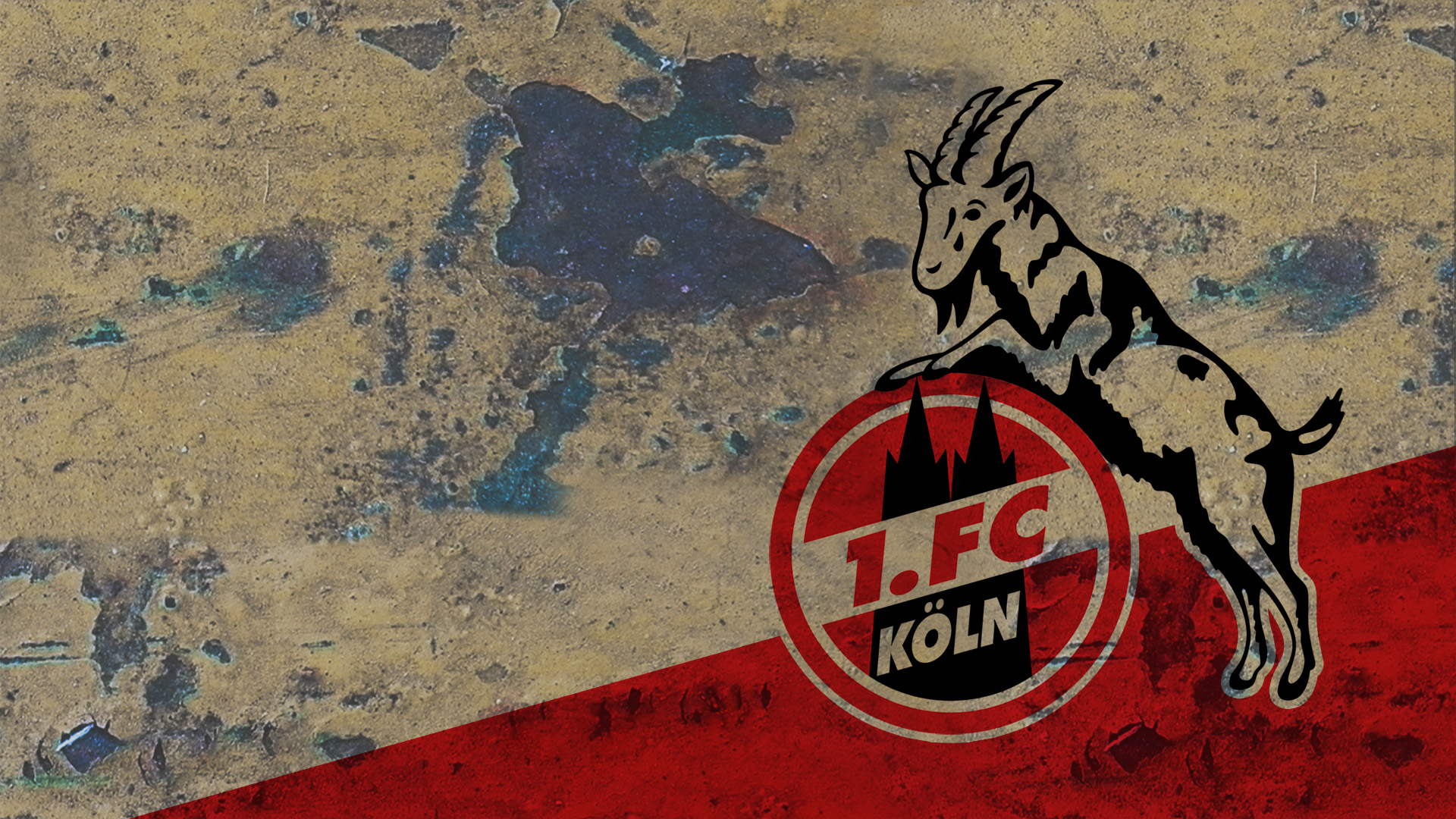 Fc Köln Wallpaper / 1. FC Köln - Bilder : You can also ...