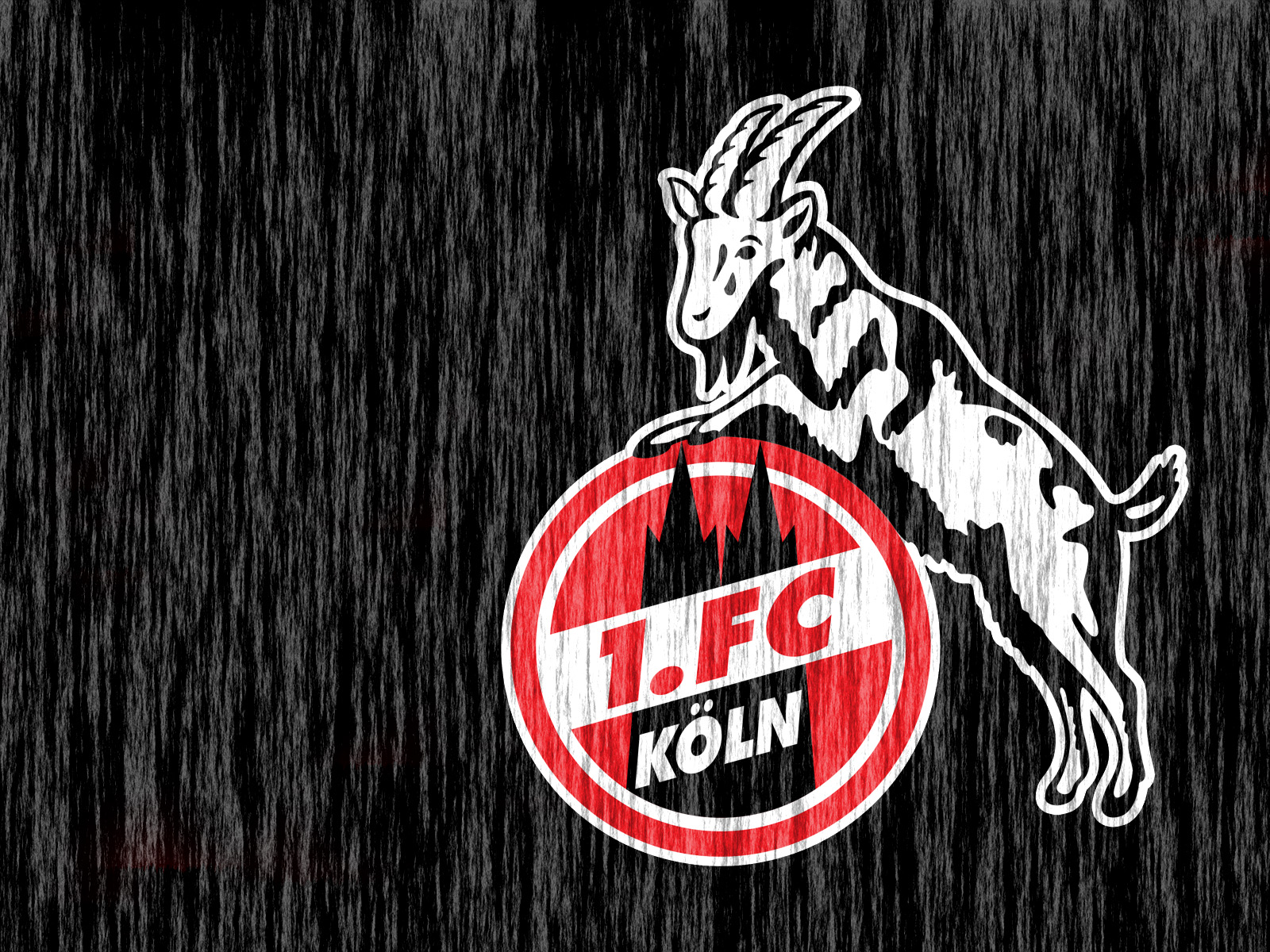 1. FC Köln #008 - Hintergrundbild