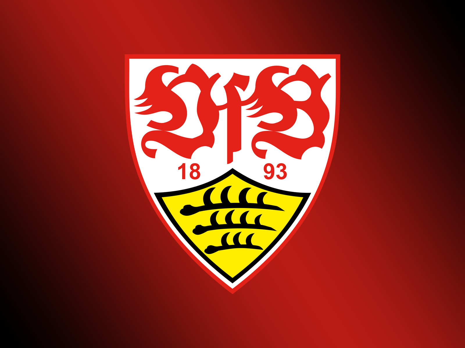 VfB