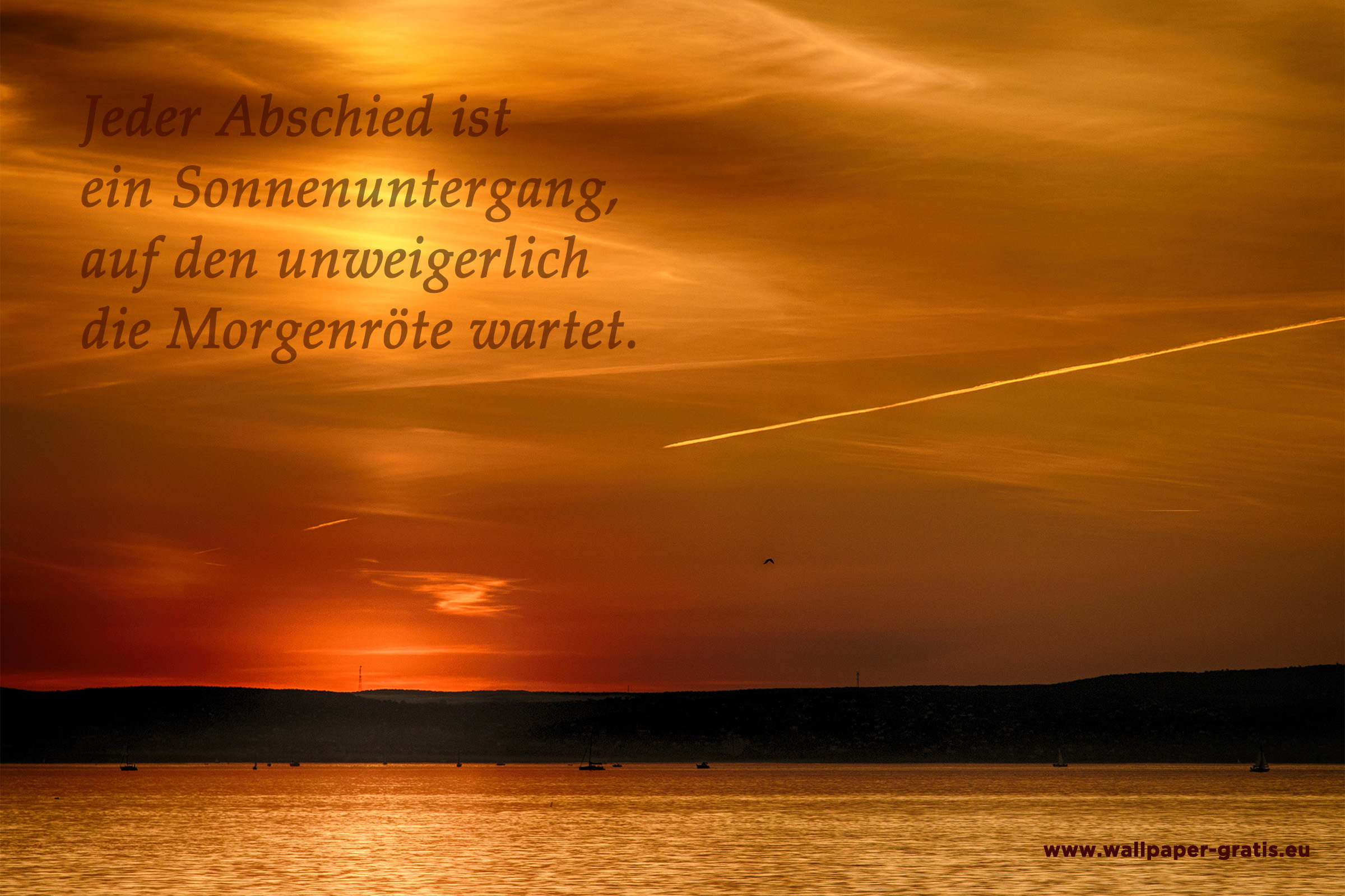 Zitat Sonnenuntergang 001 Hintergrundbild