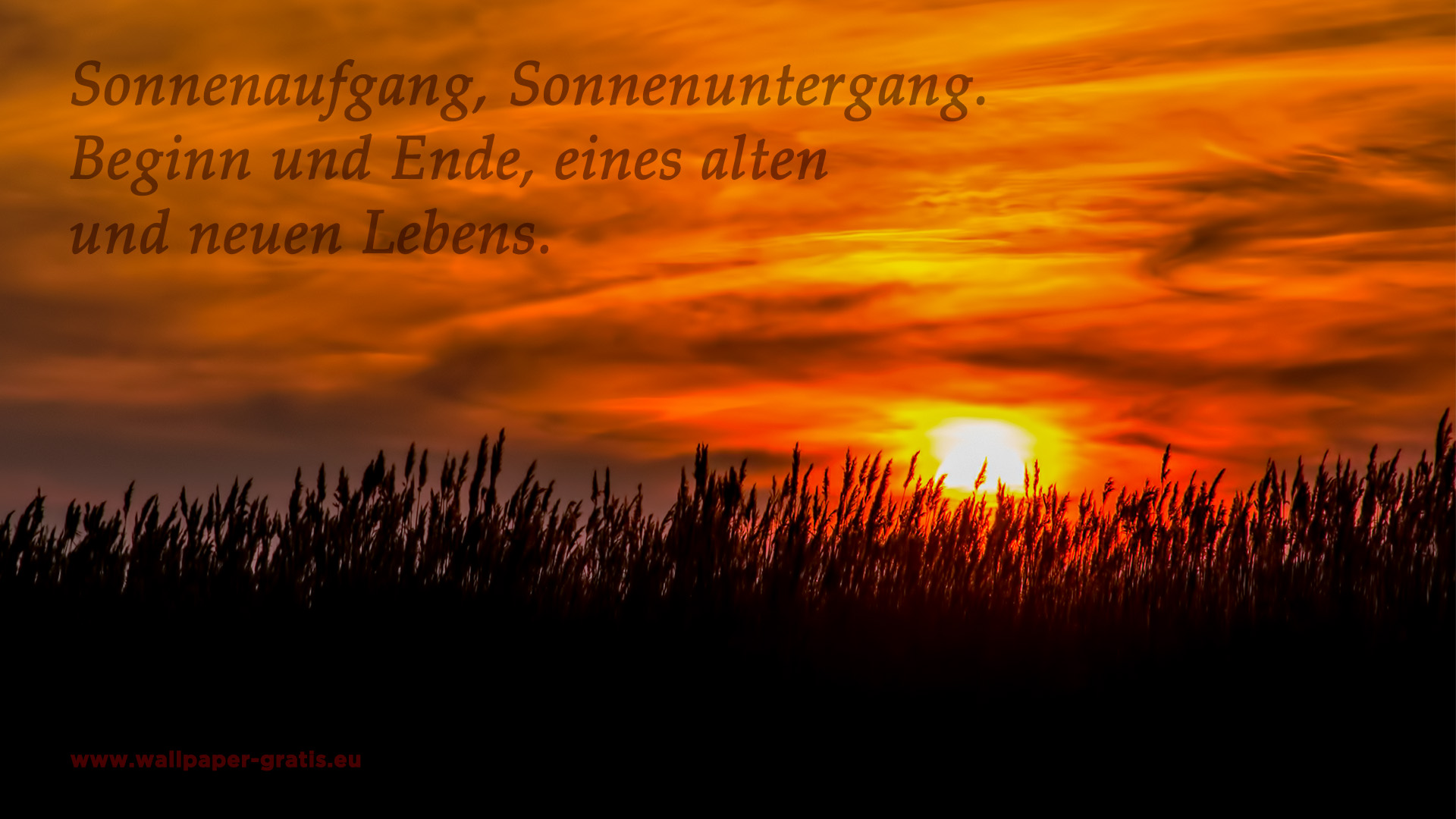 44++ Spenden spruch , Zitat Sonnenuntergang 004 Hintergrundbild