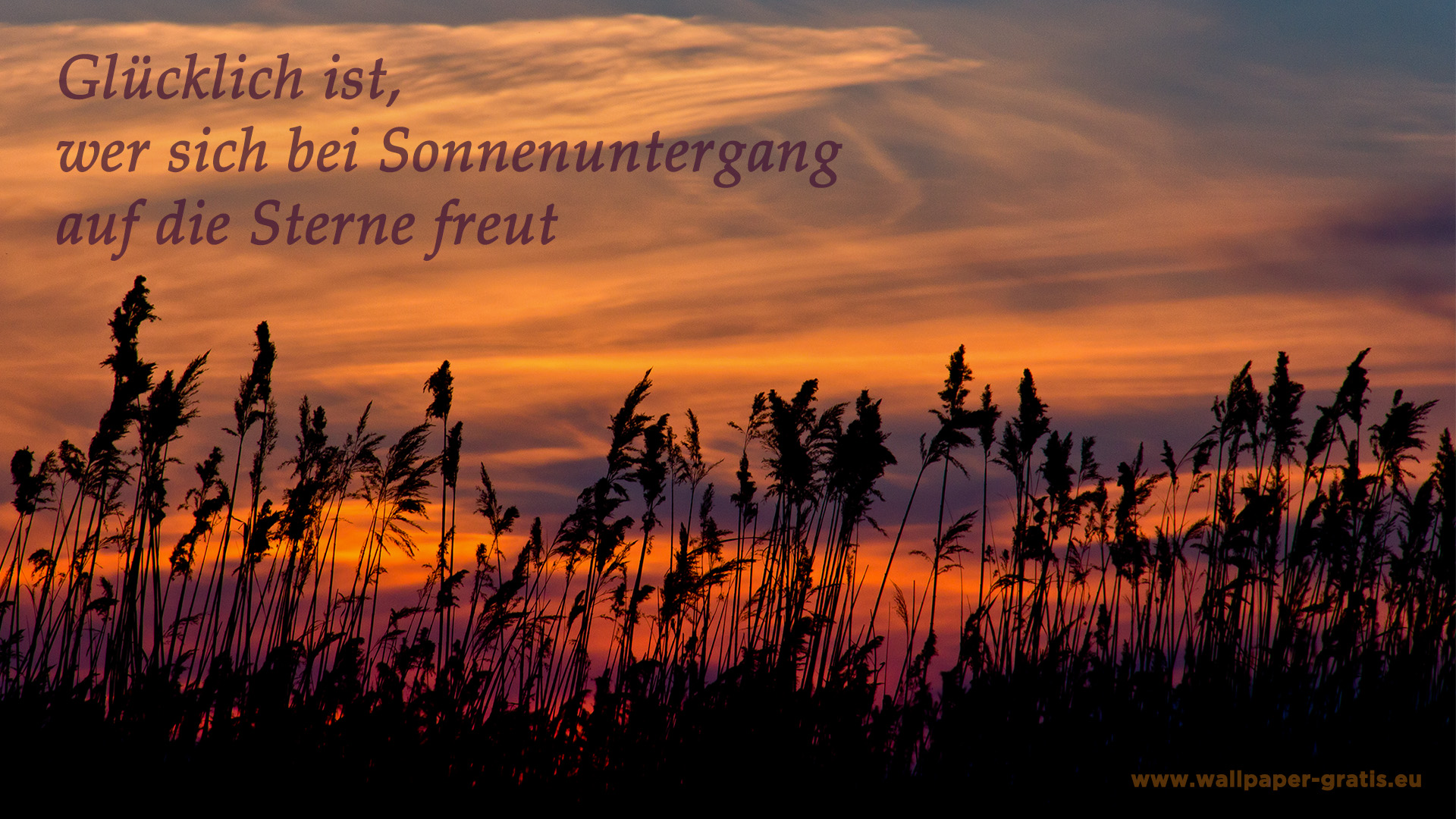 Zitat Sonnenuntergang 005 Hintergrundbild