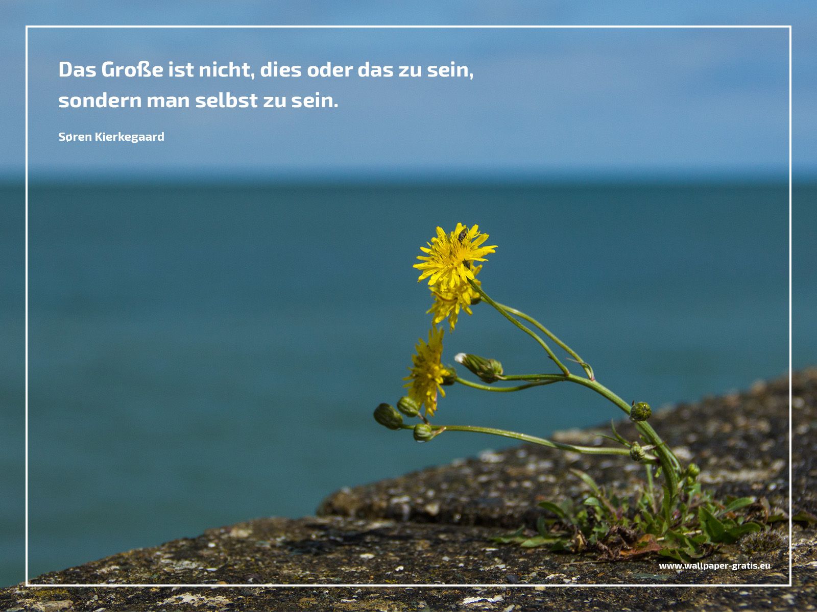 Zitate & Sprüche zum Nachdenken 006 Hintergrundbild