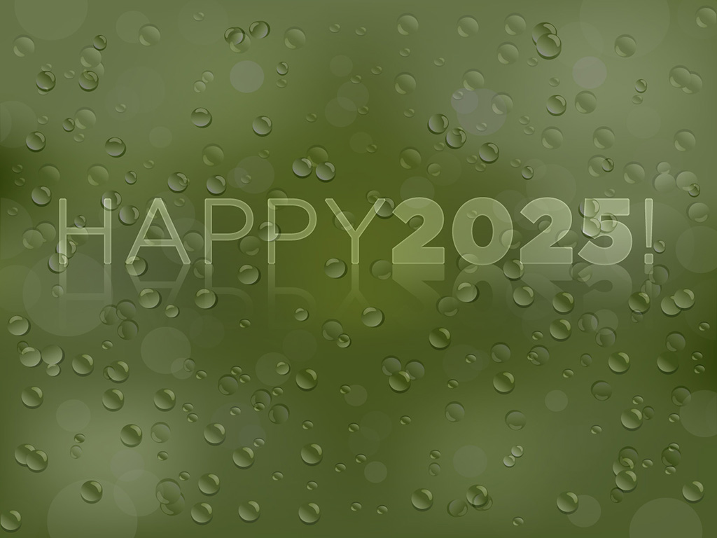 Happy 2025!