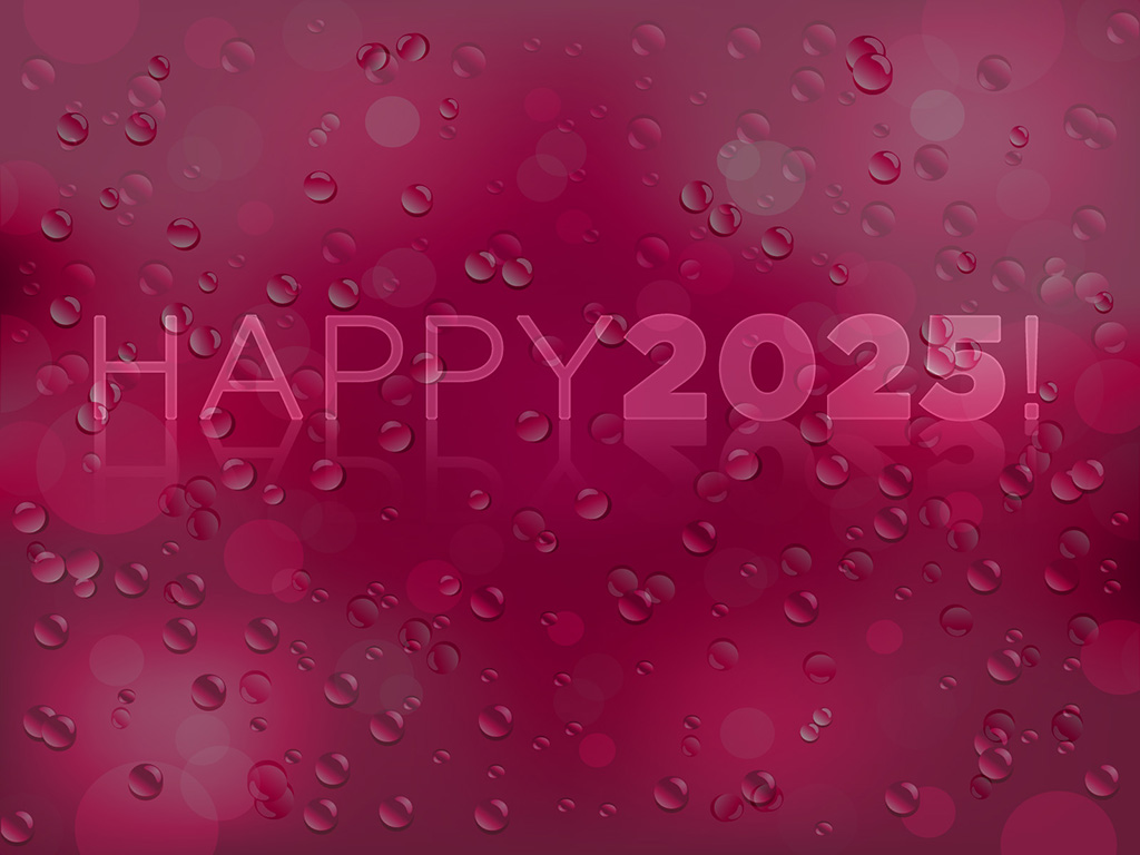 Happy 2025!