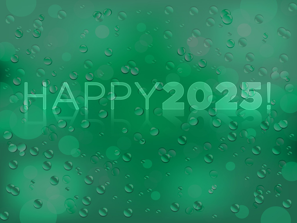 Happy 2025!