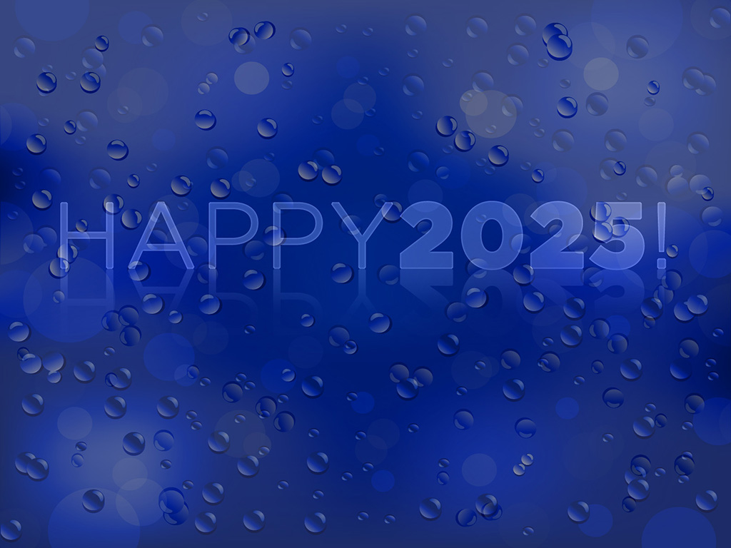 Happy 2025!