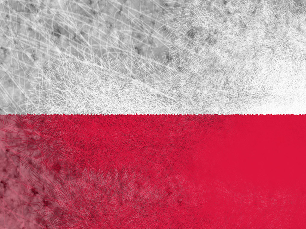 Polnische Flagge 013